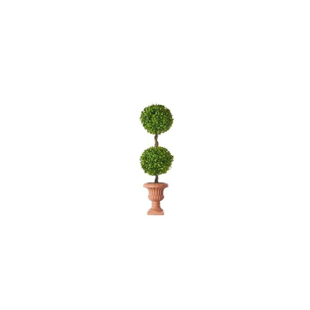 TOPIARY BOXWOOD 65 CM